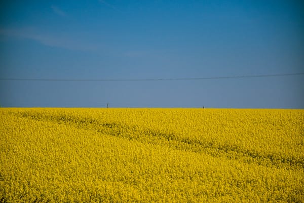 Assistance Générale